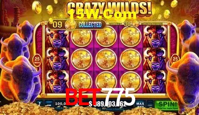 Bet775 Brasília - Betting Features